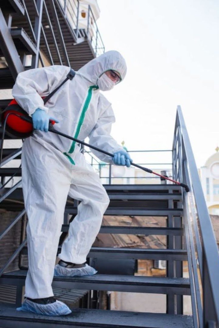 شركة إنجاز لمكافحة الحشرات