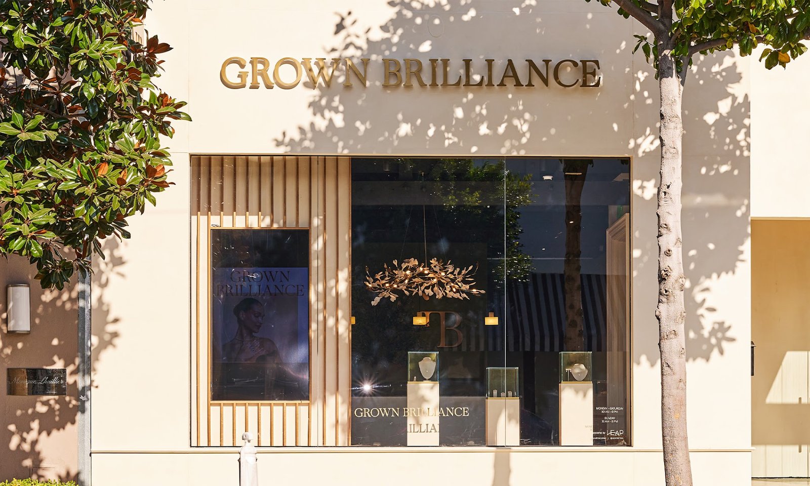 grown brilliance jewelry